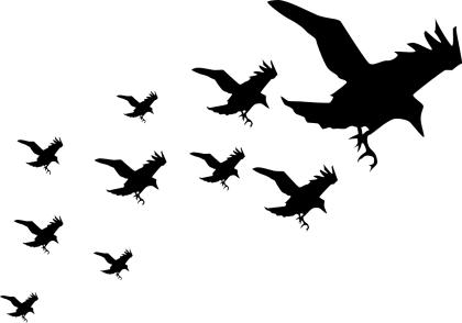Silhouette of Flying Birds