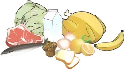 Assorted Food Items Illustration