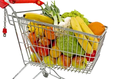 Shopping Cart with Groceries