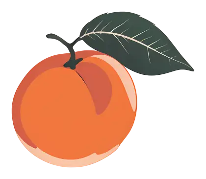 Orange Peach with Green Leaf Illustration