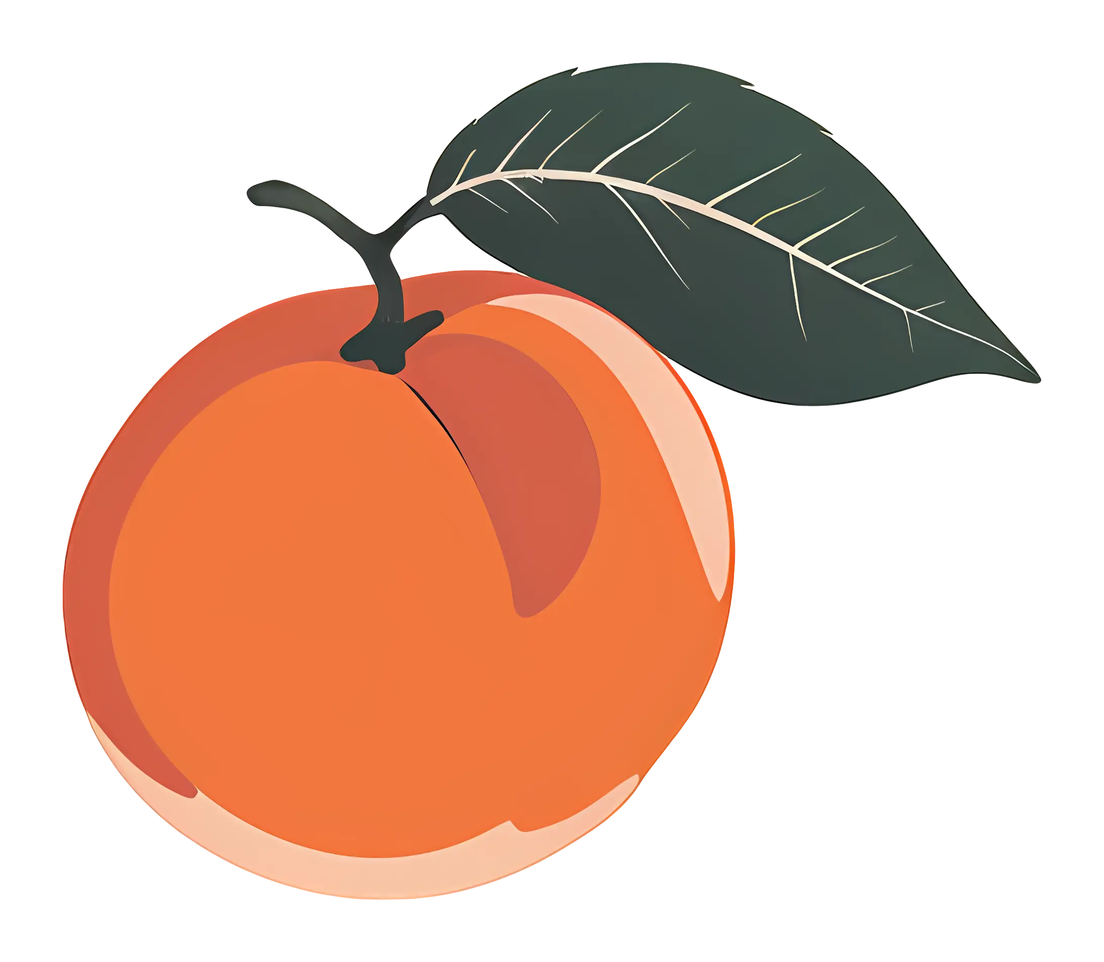Orange Peach with Green Leaf Illustration