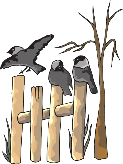 Illustration of Birds on Fence