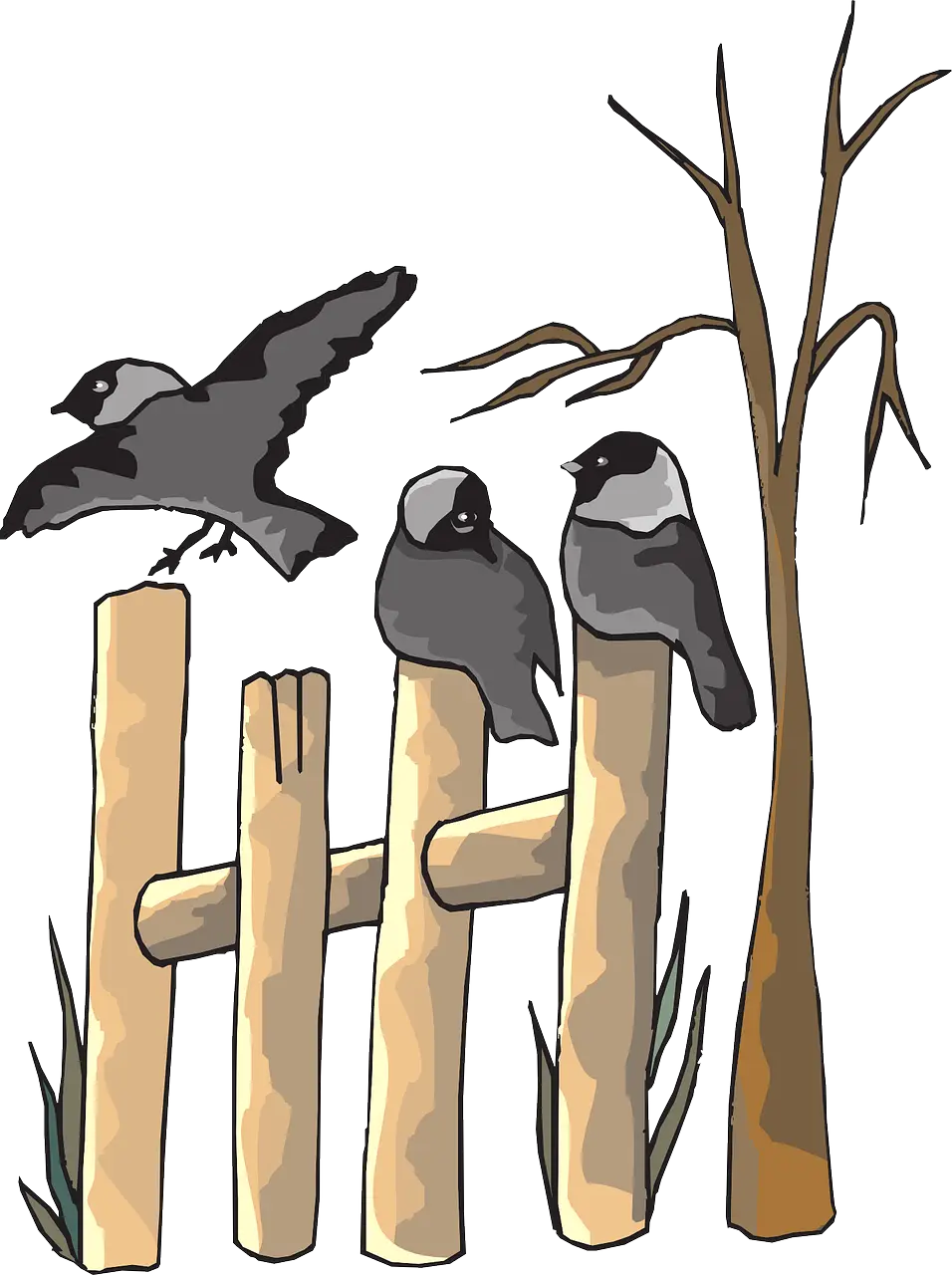 Illustration of Birds on Fence