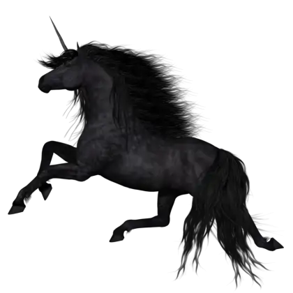 Stylish Black Unicorn with Flowing Mane