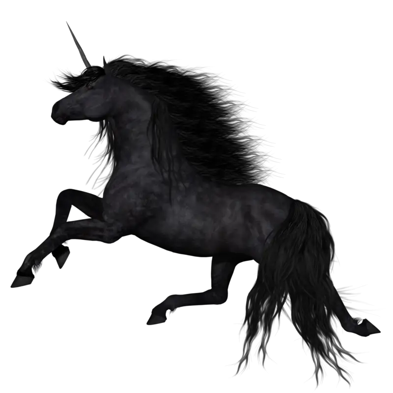 Stylish Black Unicorn with Flowing Mane