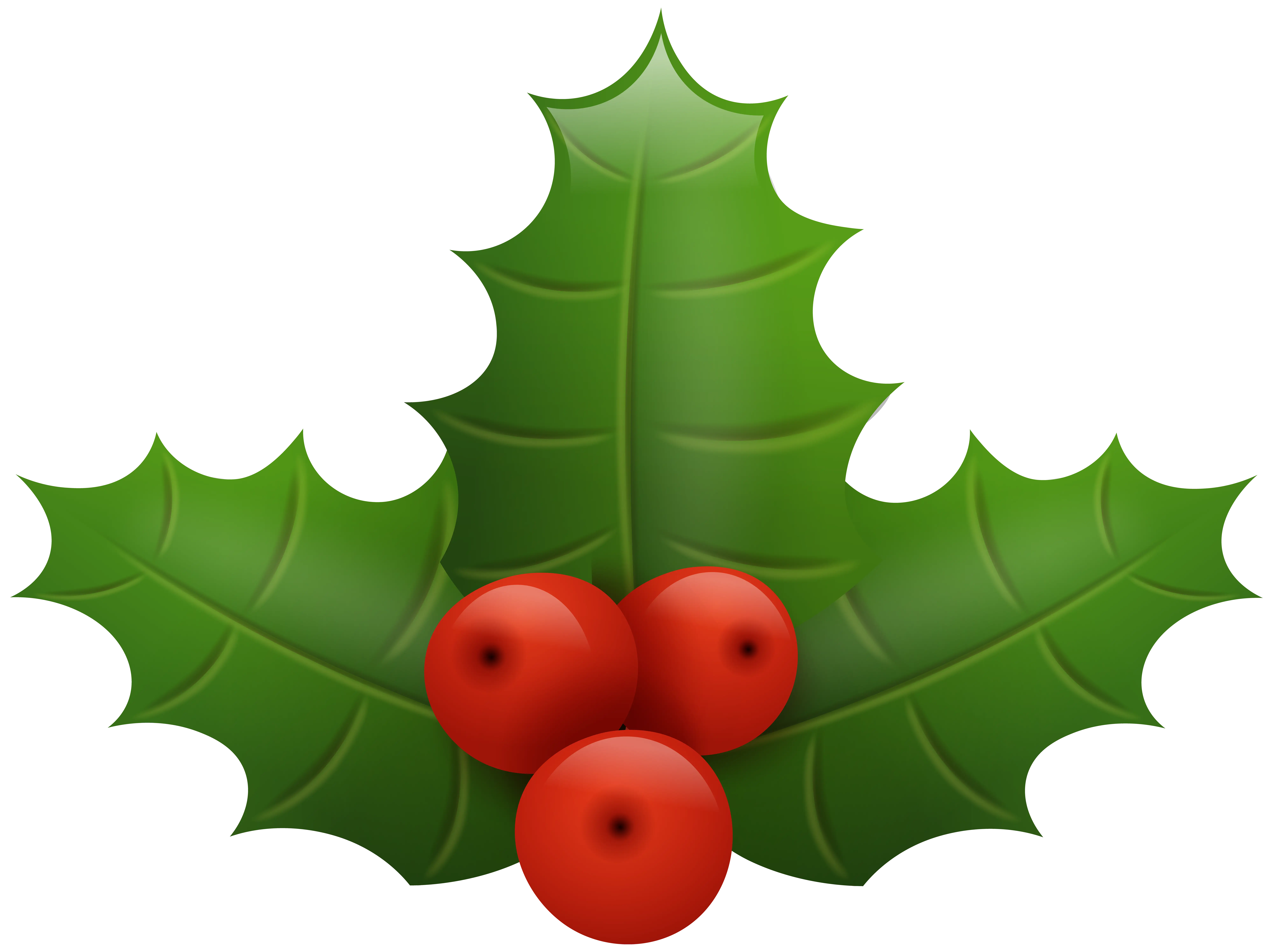Holly Leaves with Red Berries Decoration