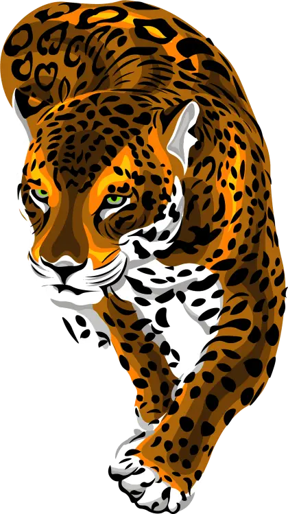 Leopard Illustration in Motion