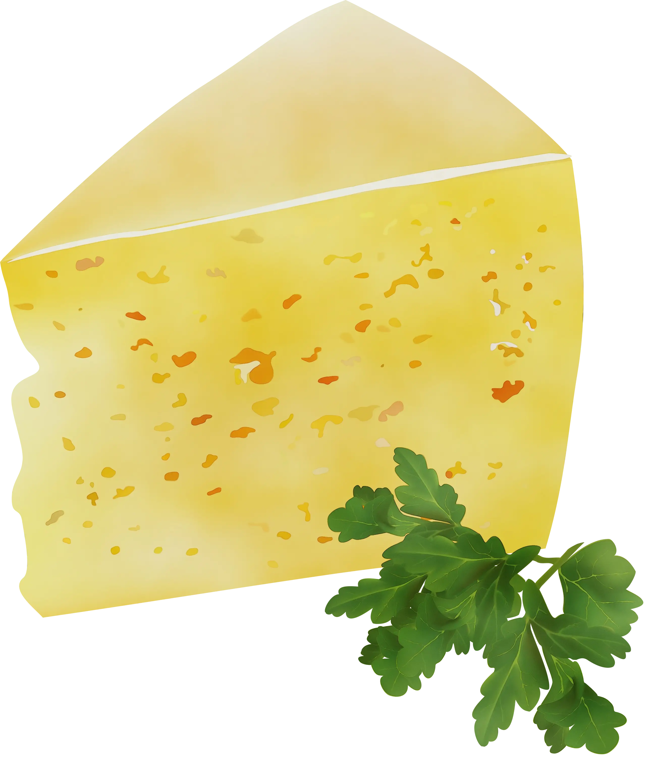 Slice of Cheese with Fresh Herbs