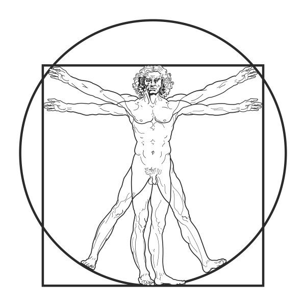 Vitruvian Man by Leonardo da Vinci