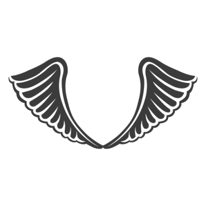 Black and White Angel Wings Illustration