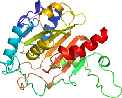 3D Protein Structure for Biochemistry Concepts