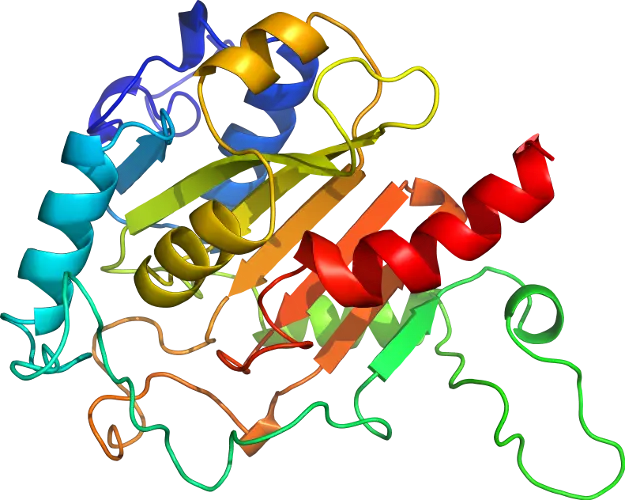 3D Protein Structure for Biochemistry Concepts