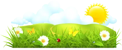 Spring Meadow with Sunshine and Flowers