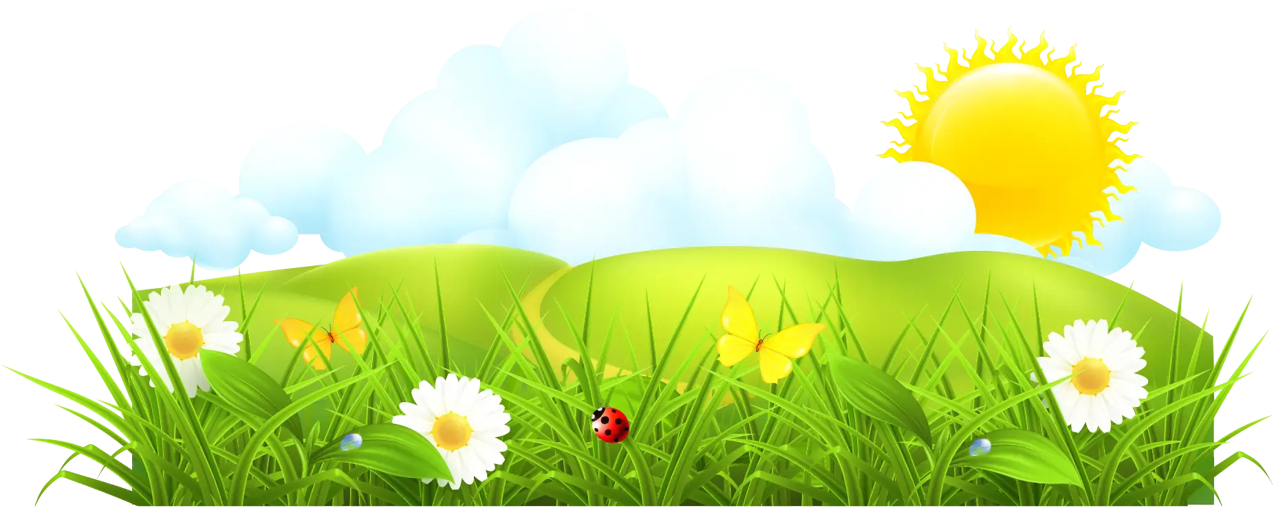 Spring Meadow with Sunshine and Flowers