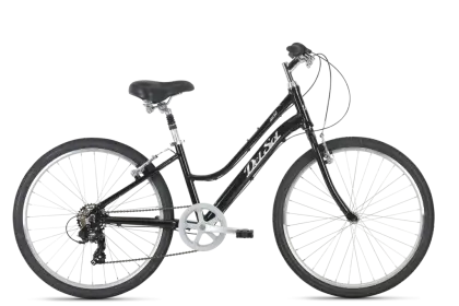 Black Bicycle for Commuting