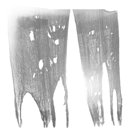 Tattered Cloth Pieces