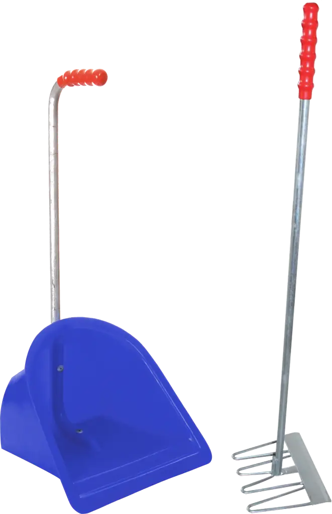 Blue Dustpan and Rake for Cleaning