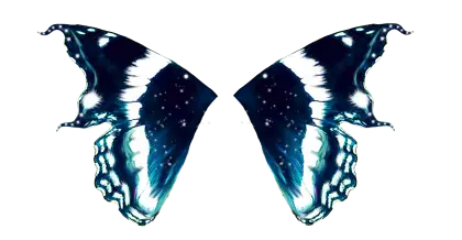 Fantasy Butterfly Wings with Blue and White Patterns
