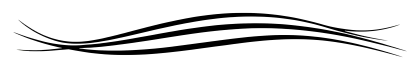 Abstract Wavy Black Line Design