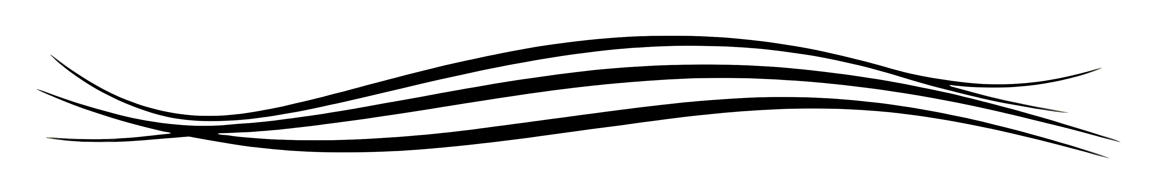 Abstract Wavy Black Line Design