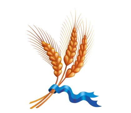 Wheat Stalks with Blue Ribbon