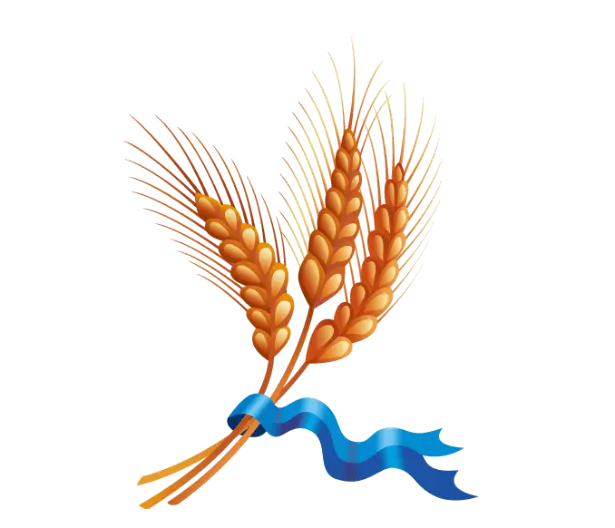 Wheat Stalks with Blue Ribbon