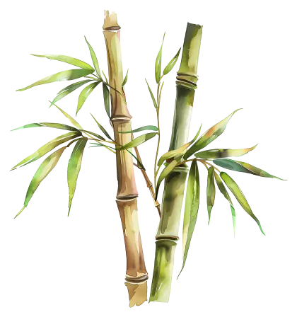 Watercolor Bamboo Stalks with Leaves Illustration