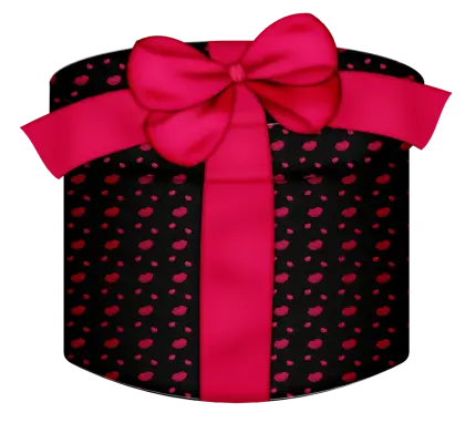 Decorative Gift Box with Red Bow
