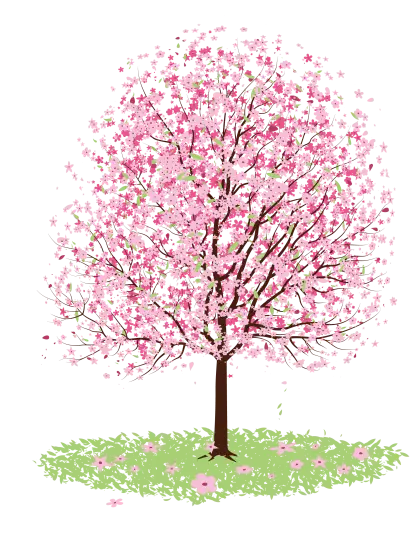Pink Cherry Blossom Tree Illustration