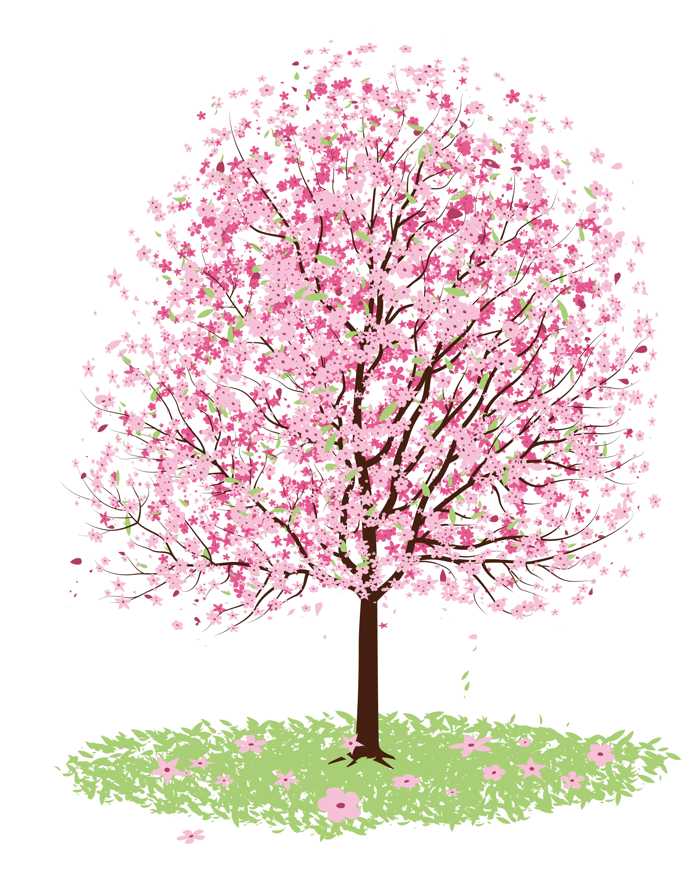 Pink Cherry Blossom Tree Illustration