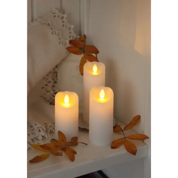 Glowing Candles with Autumn Leaves