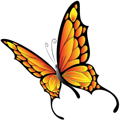 Bright Orange Butterfly with Decorative Wings