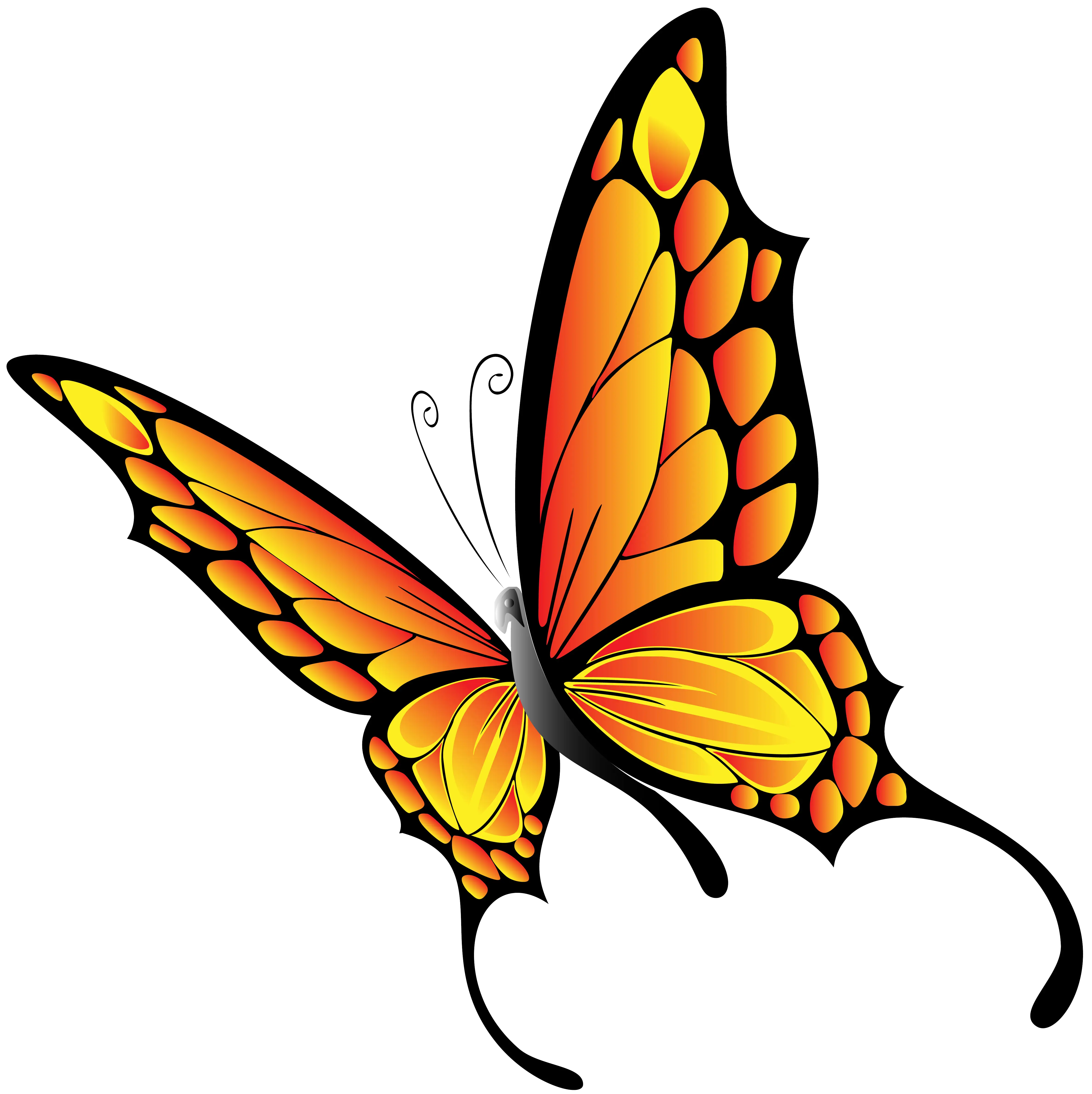Bright Orange Butterfly with Decorative Wings