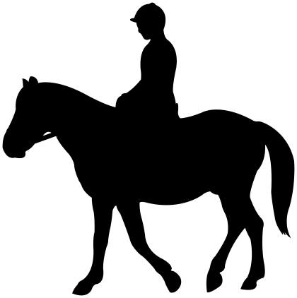 Silhouette of Horse Rider
