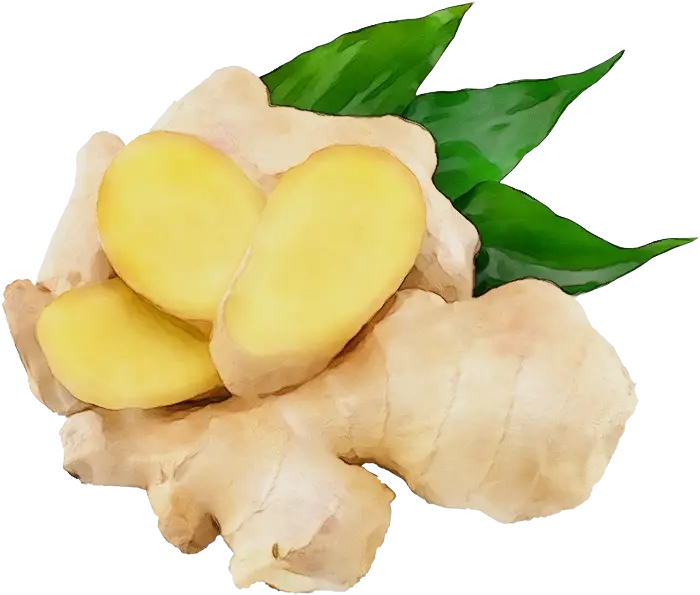 Fresh Ginger Root with Slices