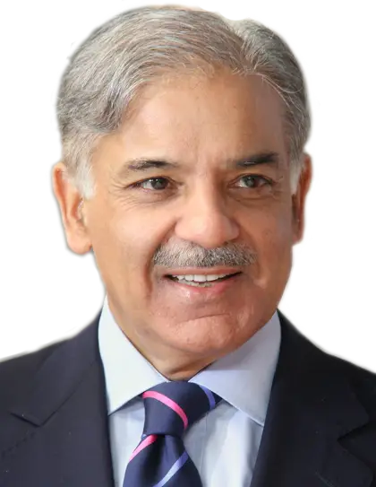 Smiling Man in Formal Suit Portrait