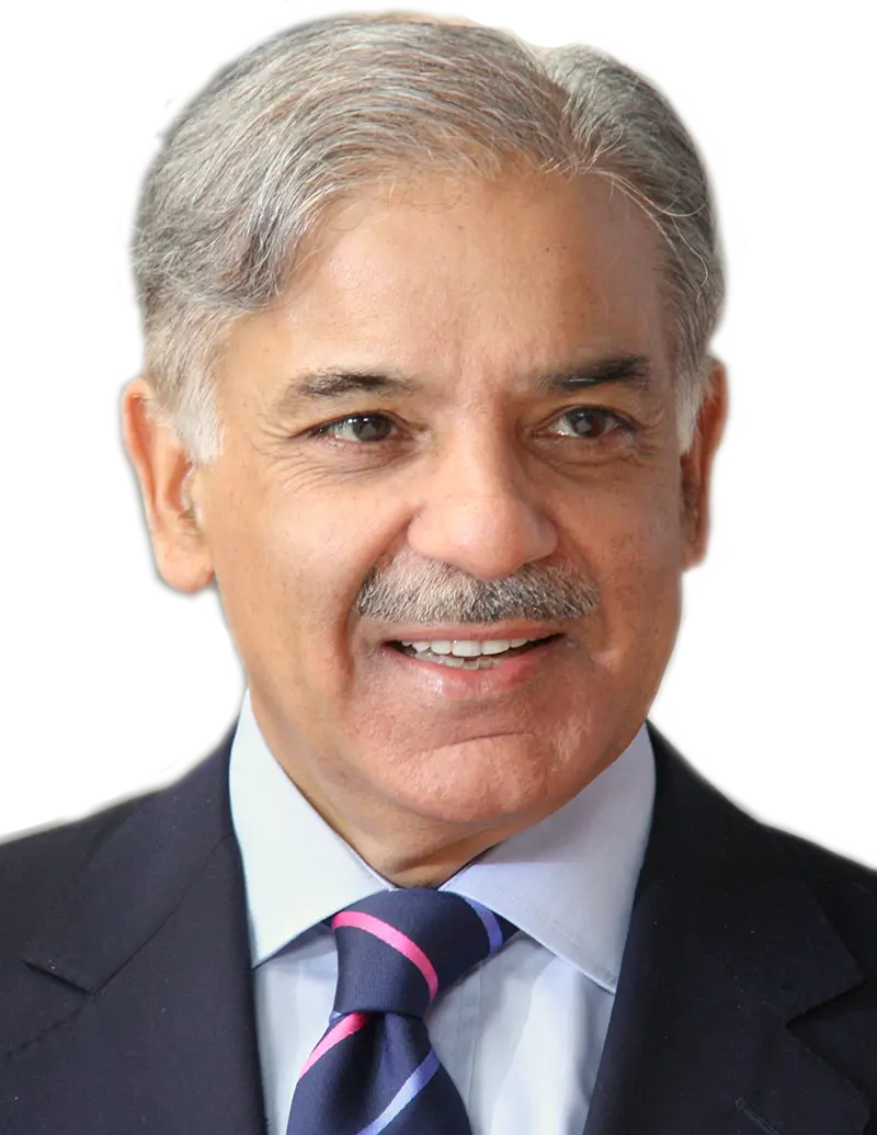 Smiling Man in Formal Suit Portrait