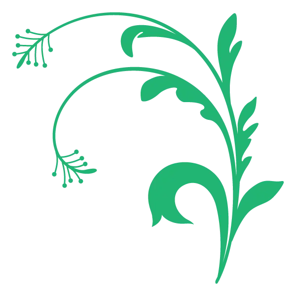 Green Floral Stem Illustration