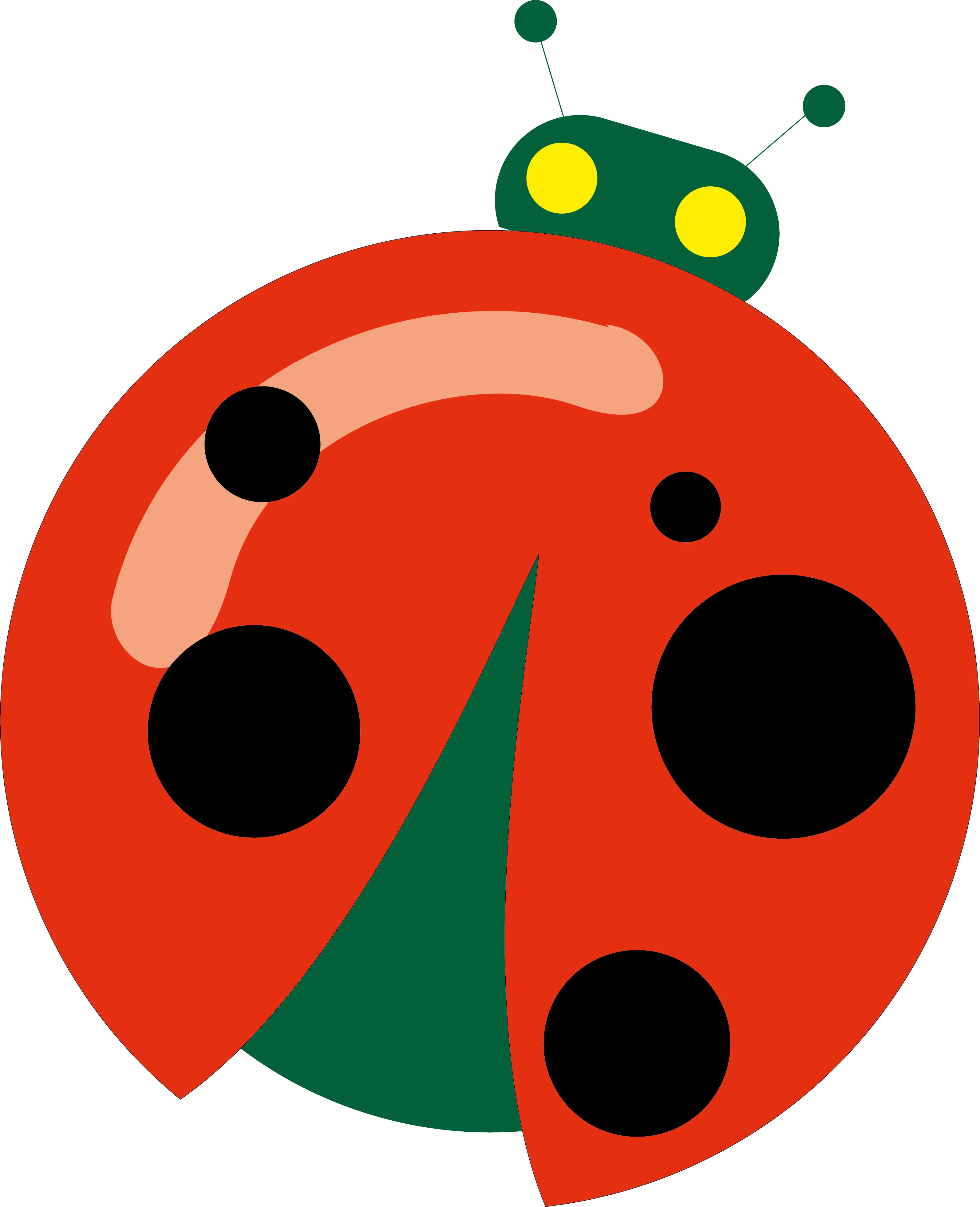 Cartoon Ladybug Illustration in Red and Black
