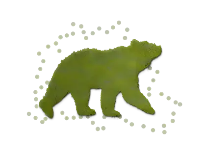 Green Bear Silhouette