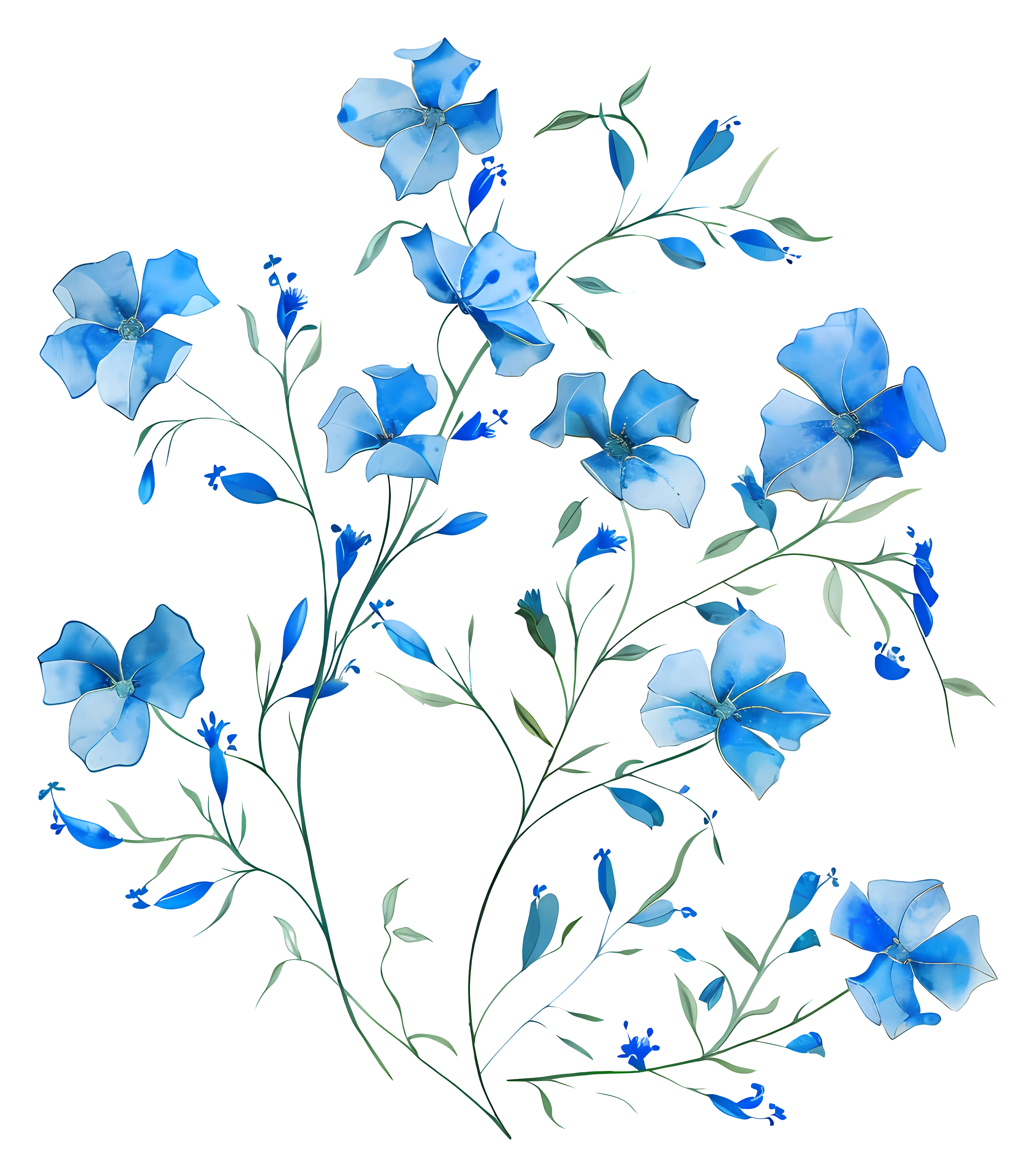 Delicate Blue Watercolor Flowers Illustration