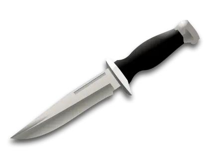 Sharp Hunting Knife with Black Handle