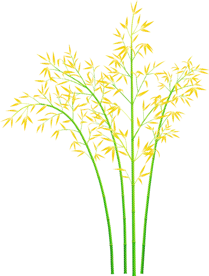 Yellow Bamboo Plants Illustration