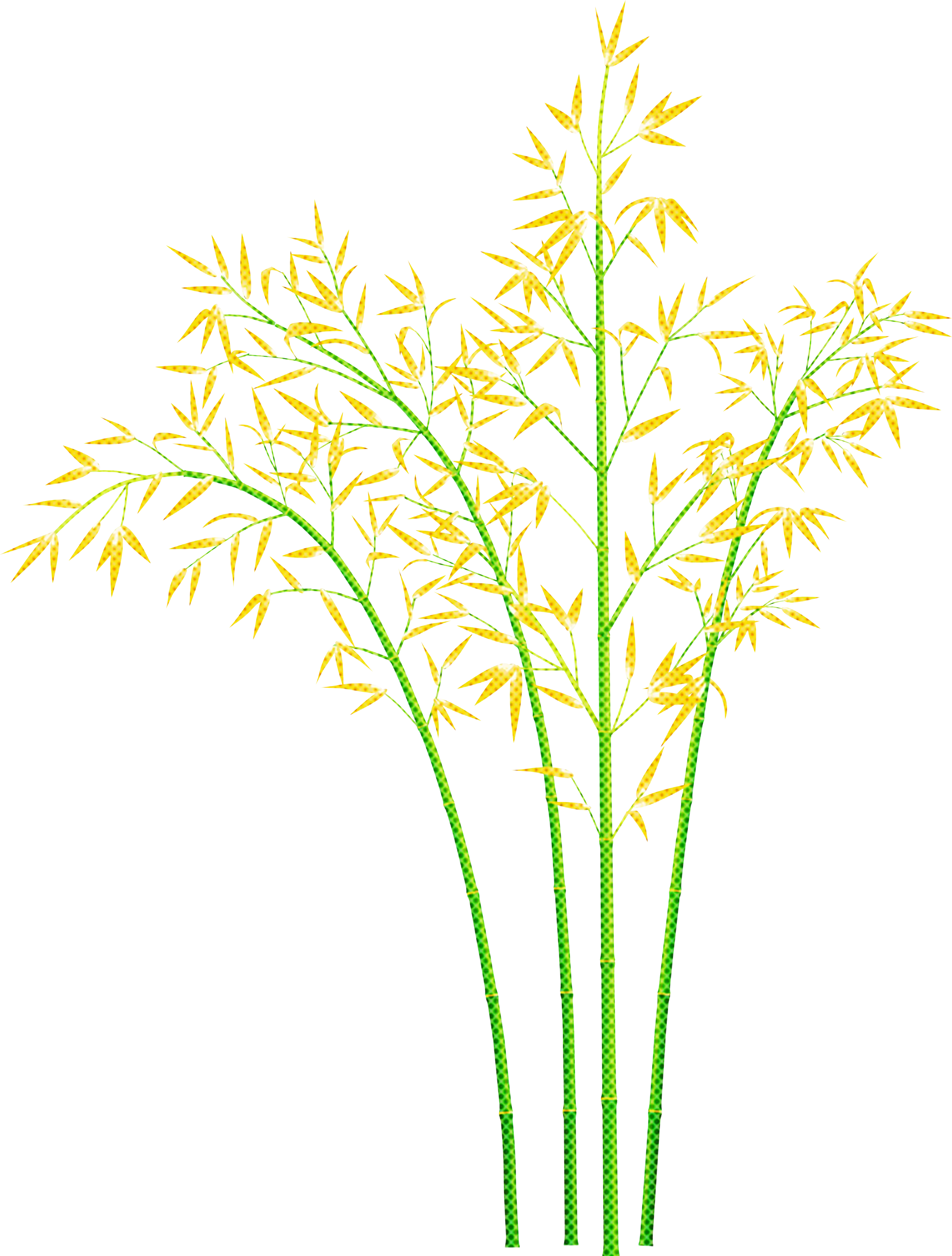 Yellow Bamboo Plants Illustration
