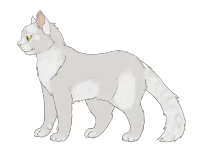 White Cartoon Cat Design