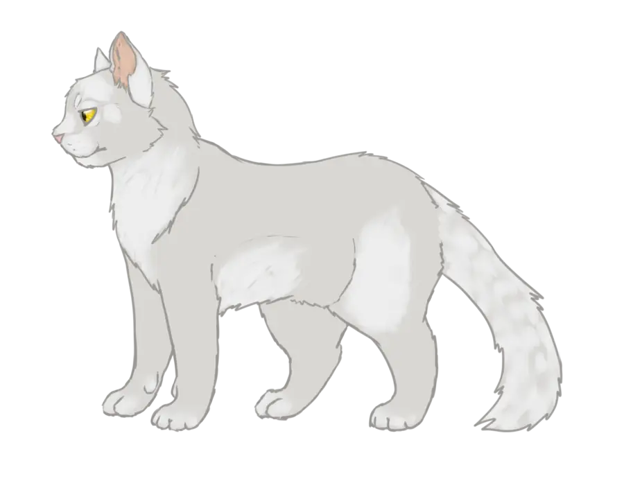 White Cartoon Cat Design