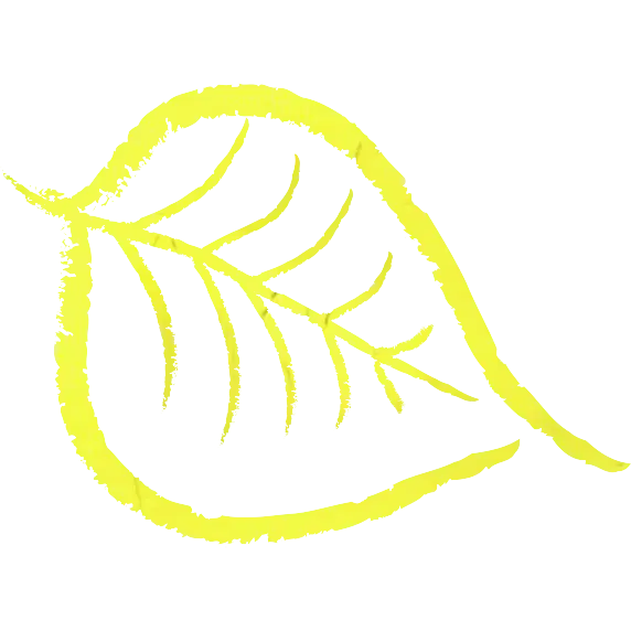 Yellow Leaf Sketch Artwork