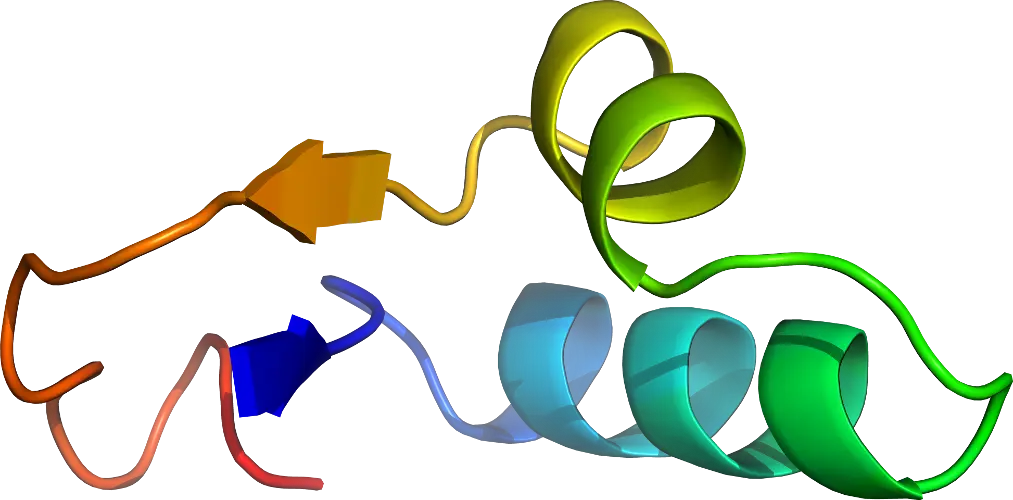 3D Protein Molecular Structure Illustration
