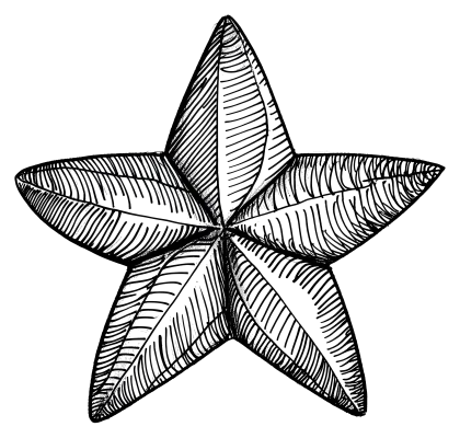 Textured Star Sketch