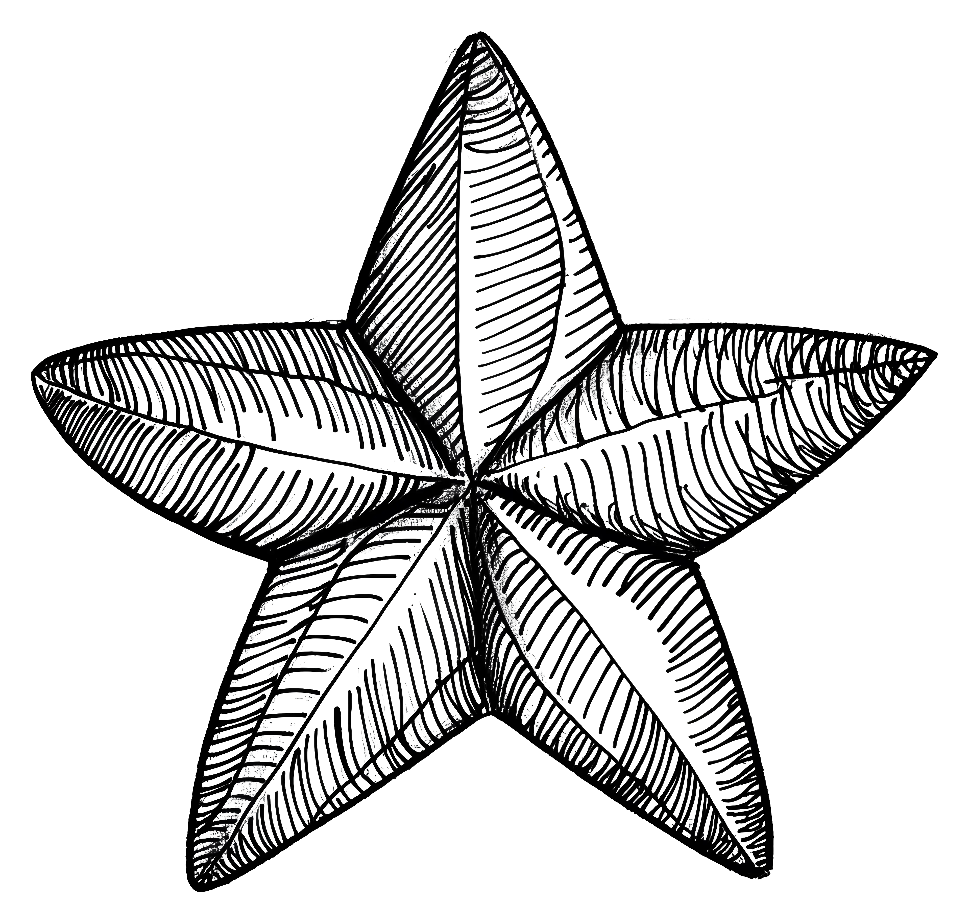 Textured Star Sketch